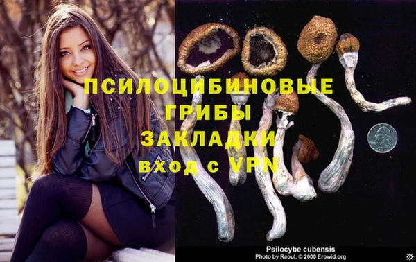 МДПВ Абаза