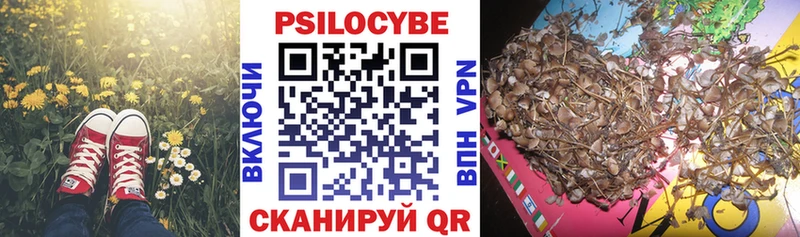 KRAKEN маркетплейс  купить наркотики сайты  Костерёво  Псилоцибиновые грибы MAGIC MUSHROOMS 