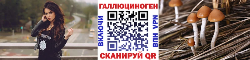 Псилоцибиновые грибы Cubensis Костерёво